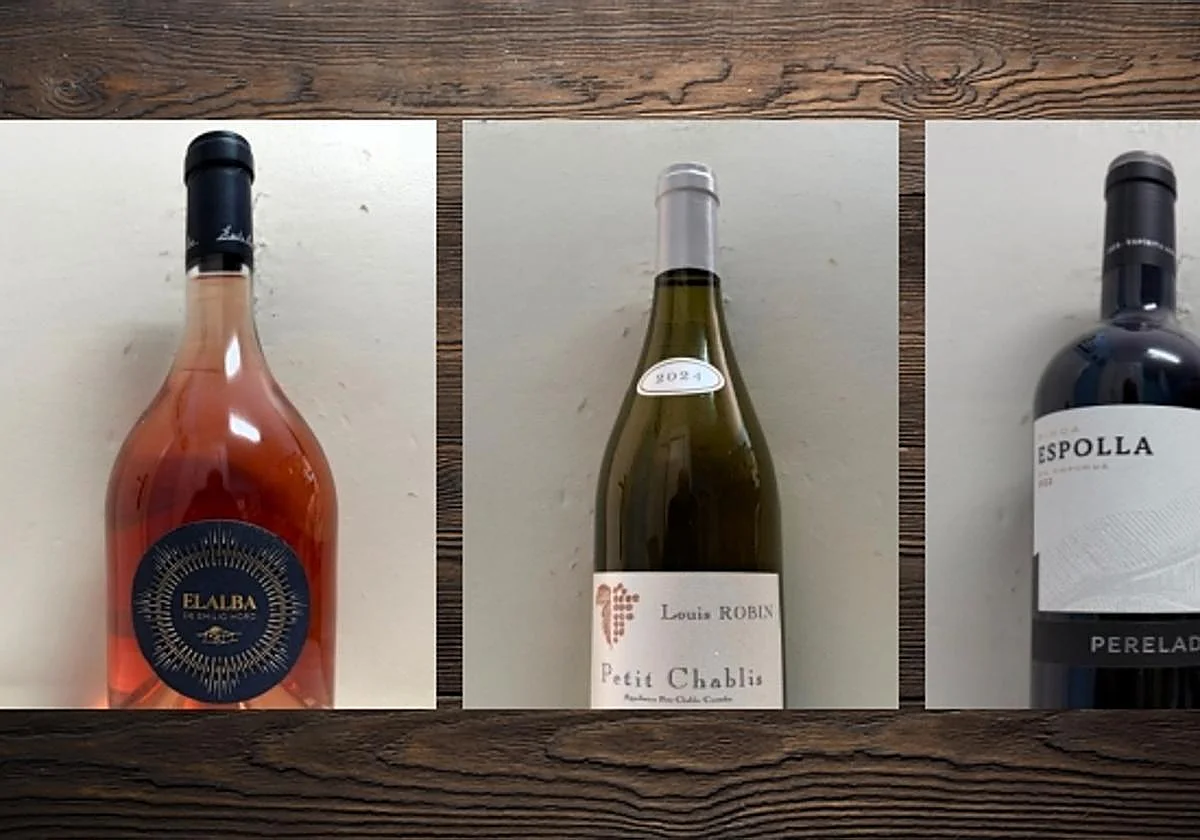 La cata: los vinos recomendados en la primera semana de febrero
