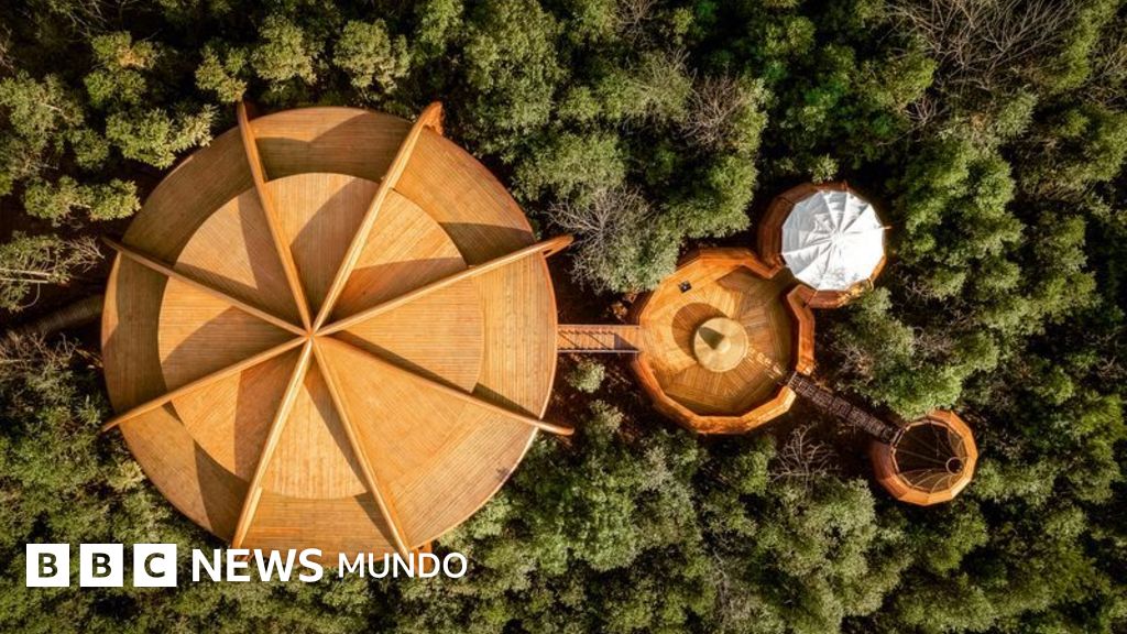 10 de las casas construidas en árboles más espectaculares del mundo (y una de ellas se encuentra en México)