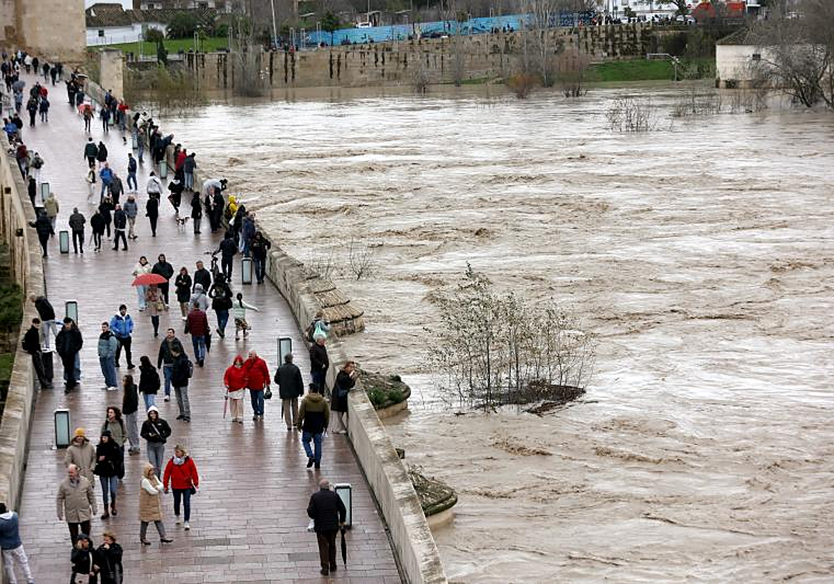 Las imágenes aéreas de Córdoba y Jerez que muestran los estragos del temporal en Andalucía