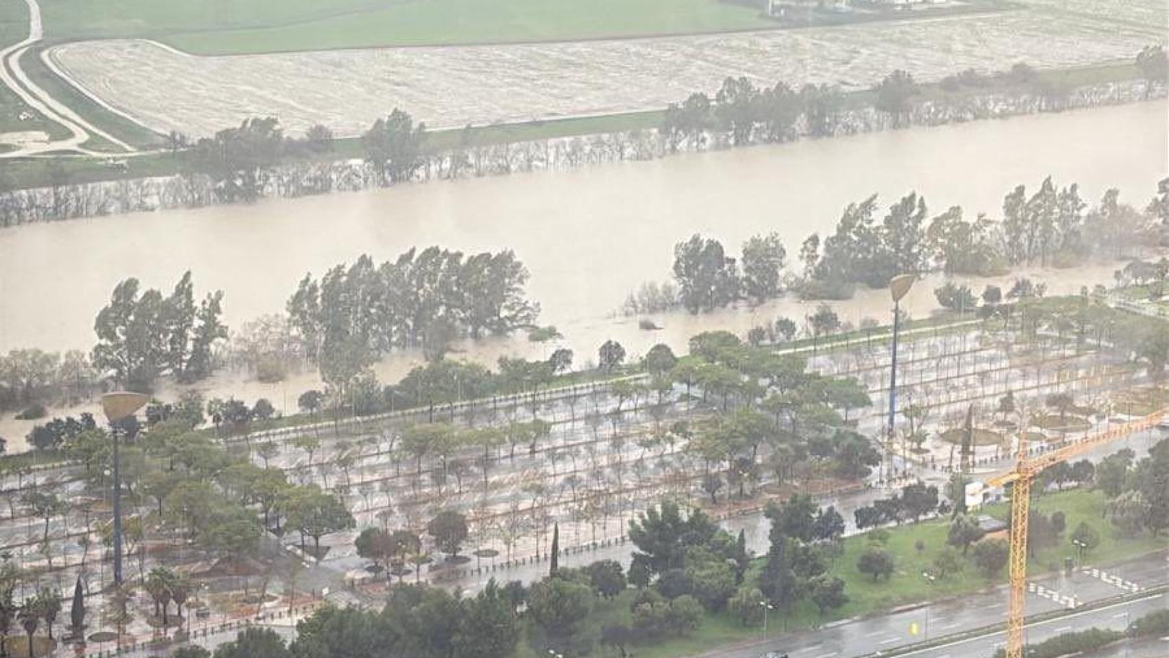 El río Guadalquivir "alcanza la zona inundable" a su paso por isla de La Cartuja y el barrio de Triana en Sevilla