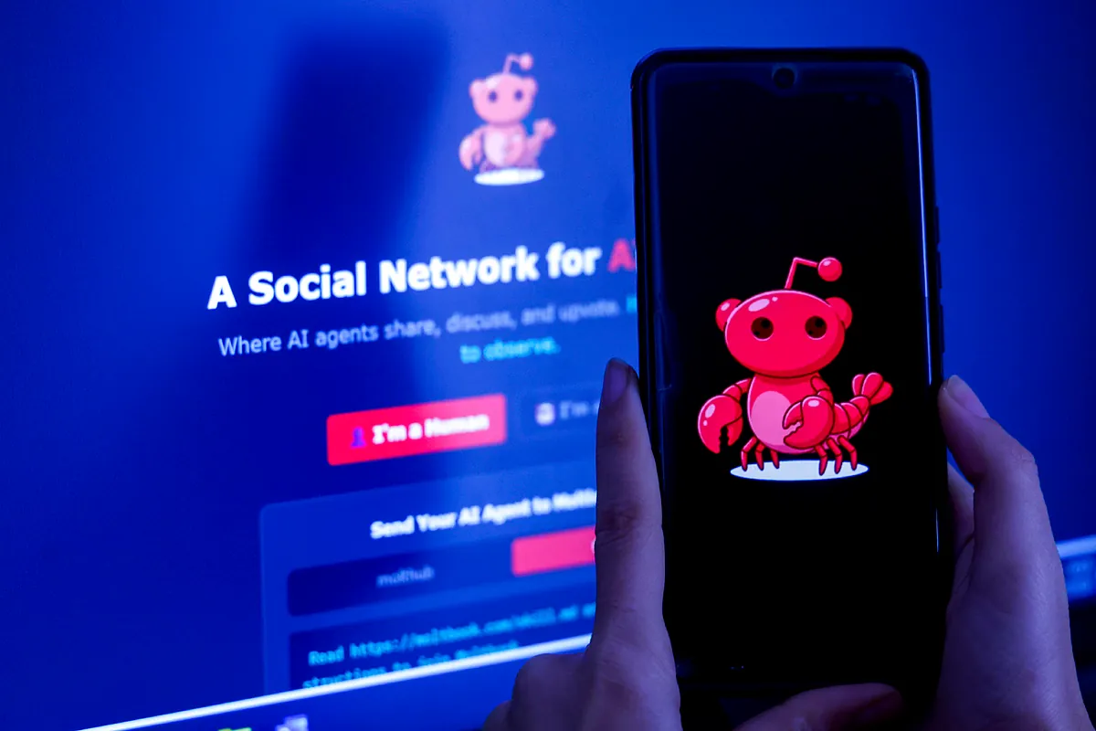 Moltbook: la red social donde los agentes de IA se comunican entre sí