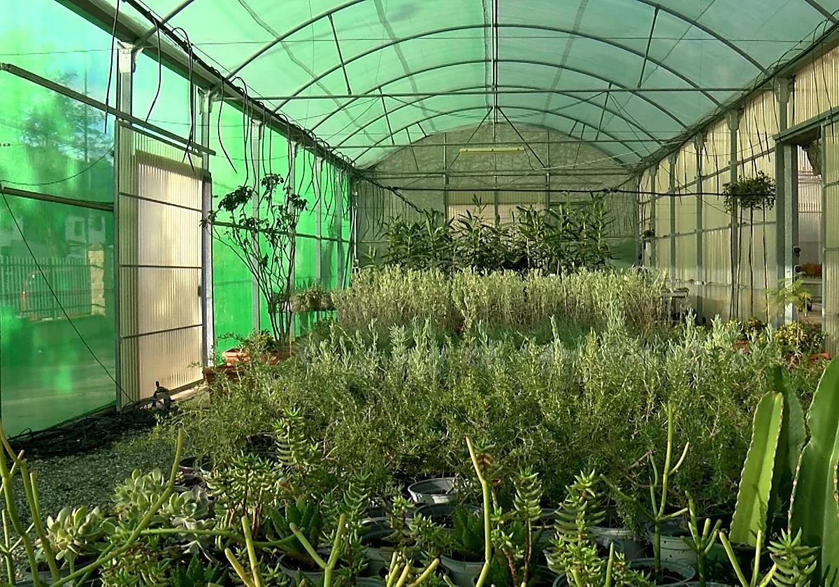 Alhaurín el Grande moderniza el Vivero municipal para garantizar la producción vegetal