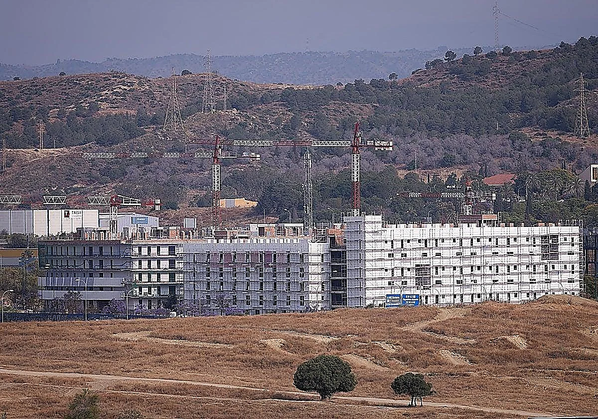 Málaga publica la lista provisional de admitidos para participar en sorteo de 253 viviendas protegidas