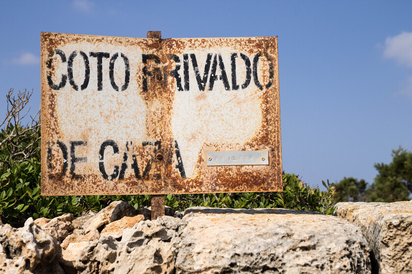 España no sabe si le sobran o le faltan conejos. Pero este pueblo de Toledo les ha declarado la guerra por su cuenta y riesgo