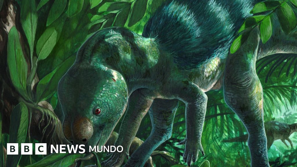 El descubrimiento de un minidinosaurio de 30 cm (y qué nos dice su evolucionado cráneo)
