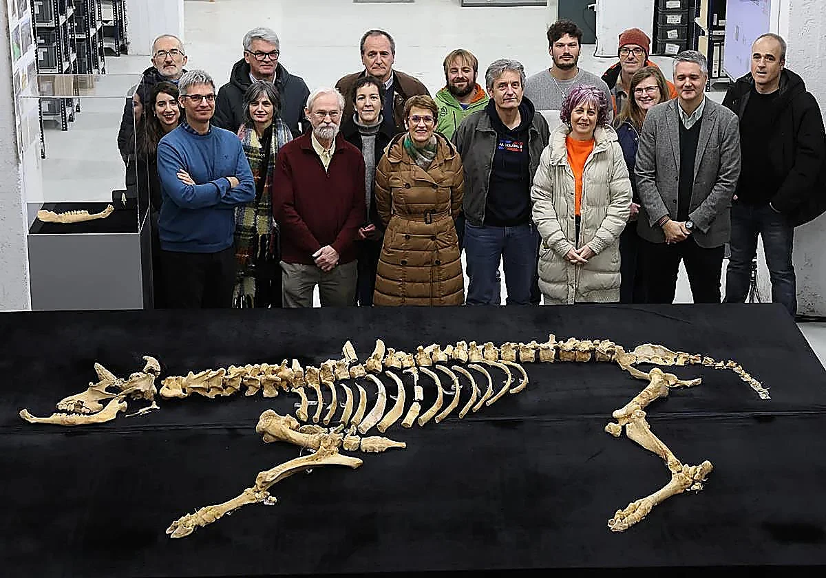 Un bisonte de 4.000 años en Urbasa