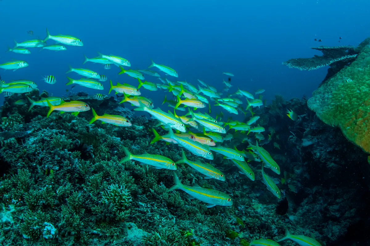 Más de 150 países coinciden en que centrarse en el PIB perjudica a la naturaleza