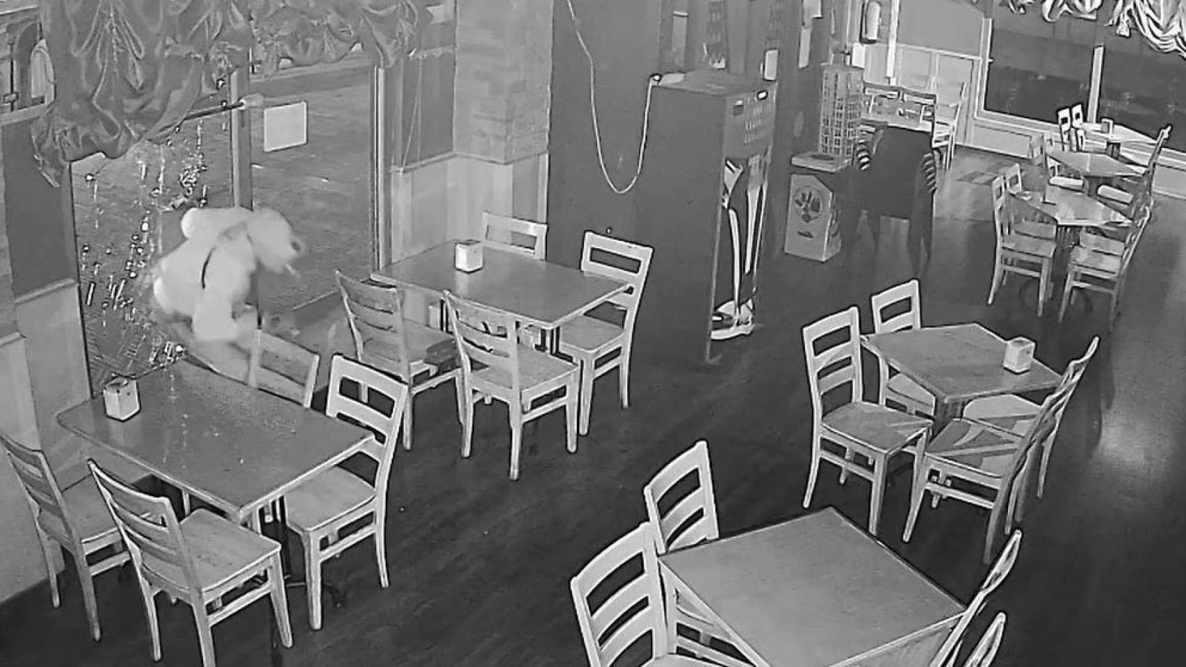 La Policía Nacional detiene a un hombre mientras robaba en una lavandería en Zaragoza: "Tiene más de 50 antecedentes"