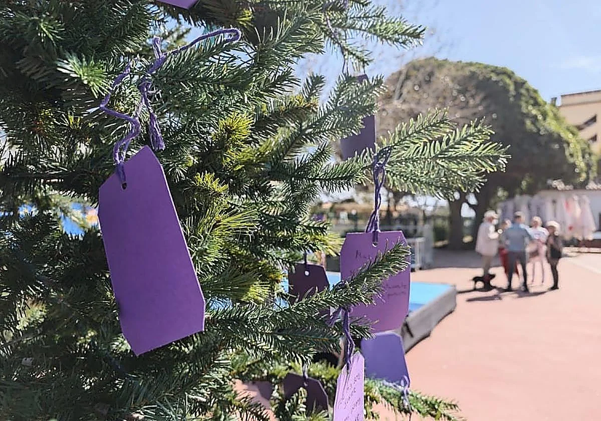 Valentine’s Day event in Mijas: memory tree and market to support dementia patients