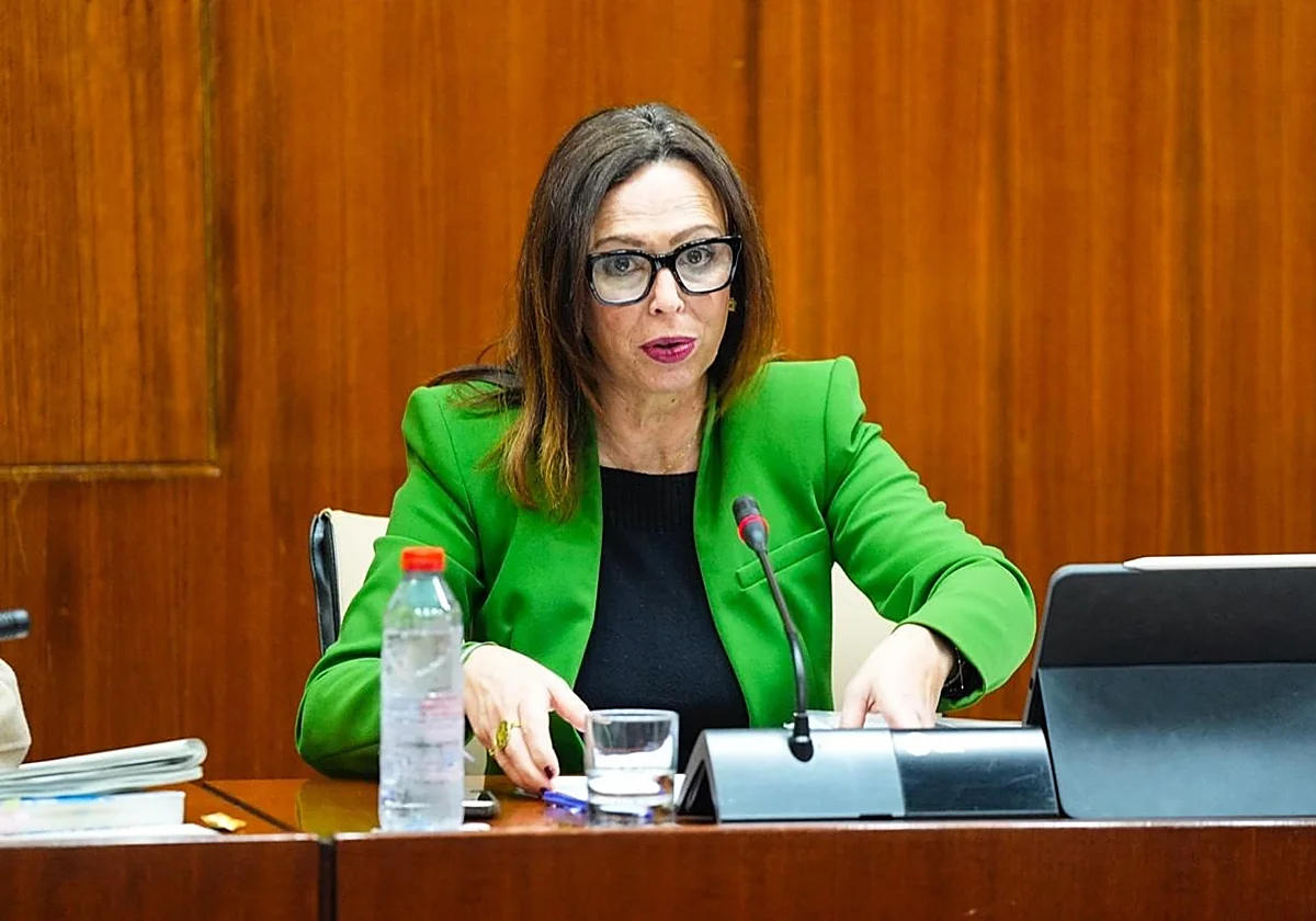 La Junta pide al Gobierno que copie su Ley de Vivienda