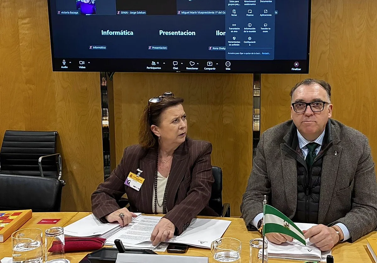 Andalucía pide que se incluya al sector turístico en la declaración de zona catastrófica por los temporales