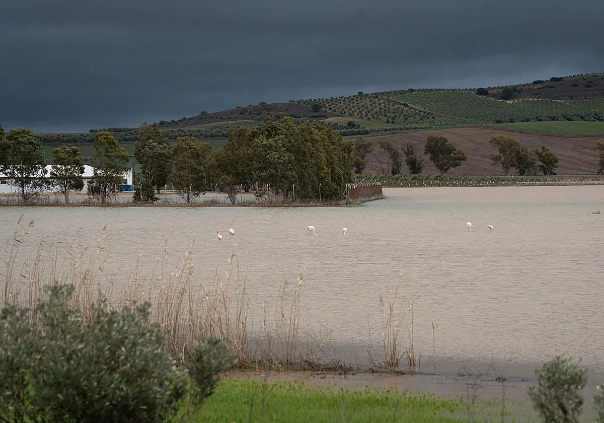 El Gobierno activa la vía para que los damnificados soliciten las ayudas