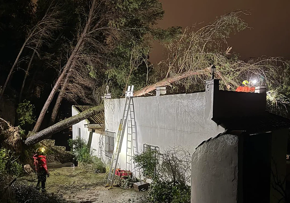 Un pino de «grandes dimensiones» cae sobre una vivienda y obliga a evacuar a los inquilinos en Villanueva del Trabuco
