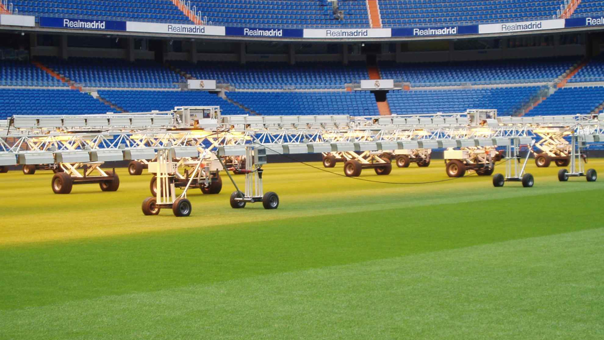 El maltrato al césped deportivo