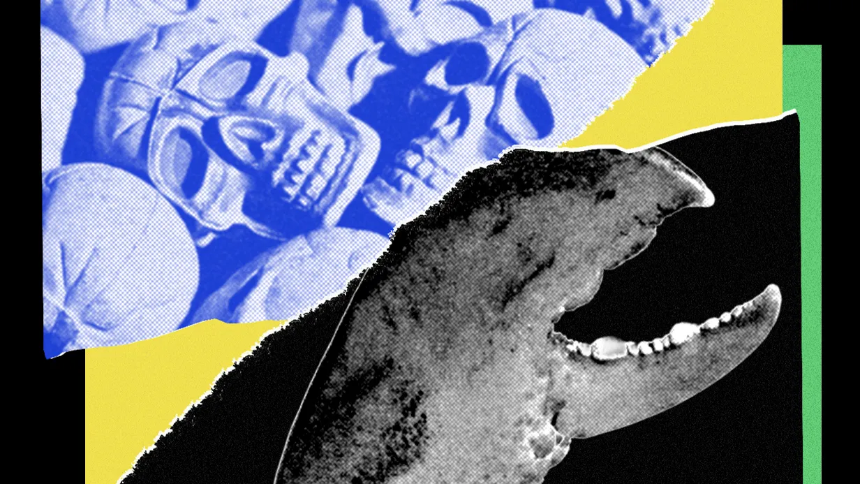 Le di las llaves de mi vida a mi agente IA de OpenClaw y casi me estafa