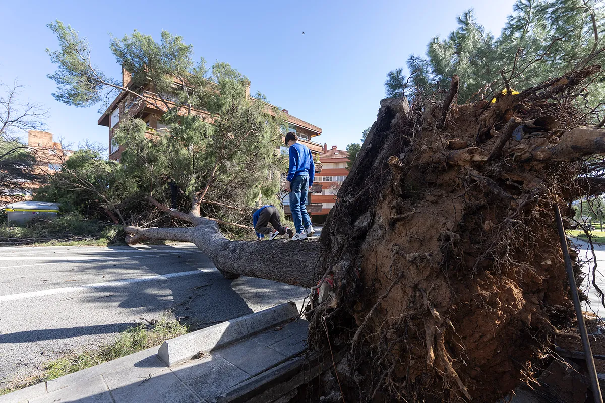 Muere una mujer en Barcelona tras caerle parte del tejado de una nave industrial debido al temporal