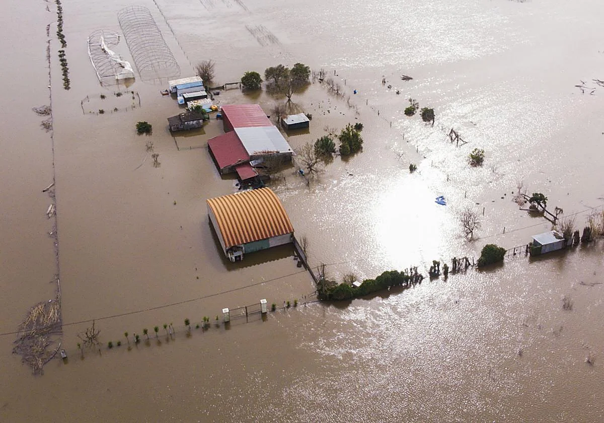 La crecida del río Mondego amenaza Coímbra con unas inundaciones históricas