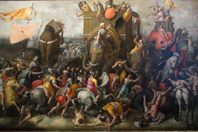 Hemos encontrado un hueso milenario en Córdoba. Hay quien cree que es parte de los elefantes de guerra de Aníbal