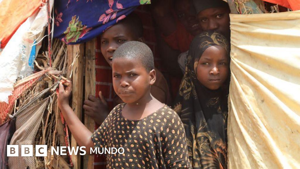 Qué papel juega EE.UU. en Somalia, el país del que Trump no quiere inmigrantes y el Pentágono lleva años bombardeando