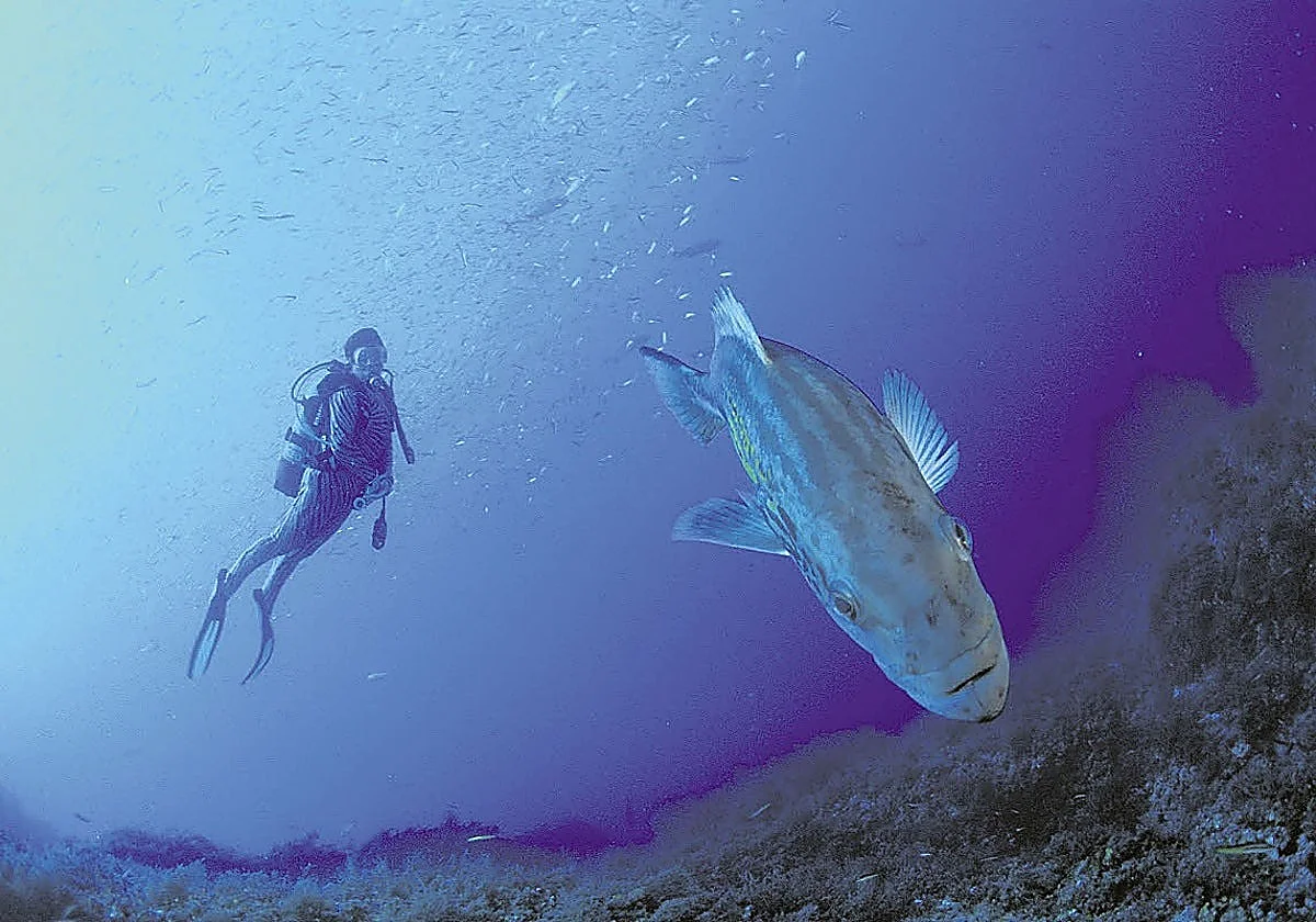 The Granada diver who plunged into the depths of criminality