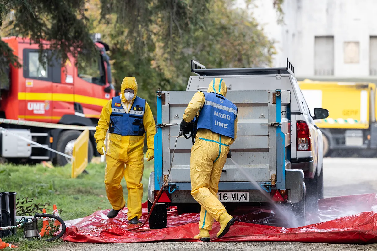 Detectados casos de Peste Porcina Africana (PPA) en Cataluña fuera de la 'zona cero'