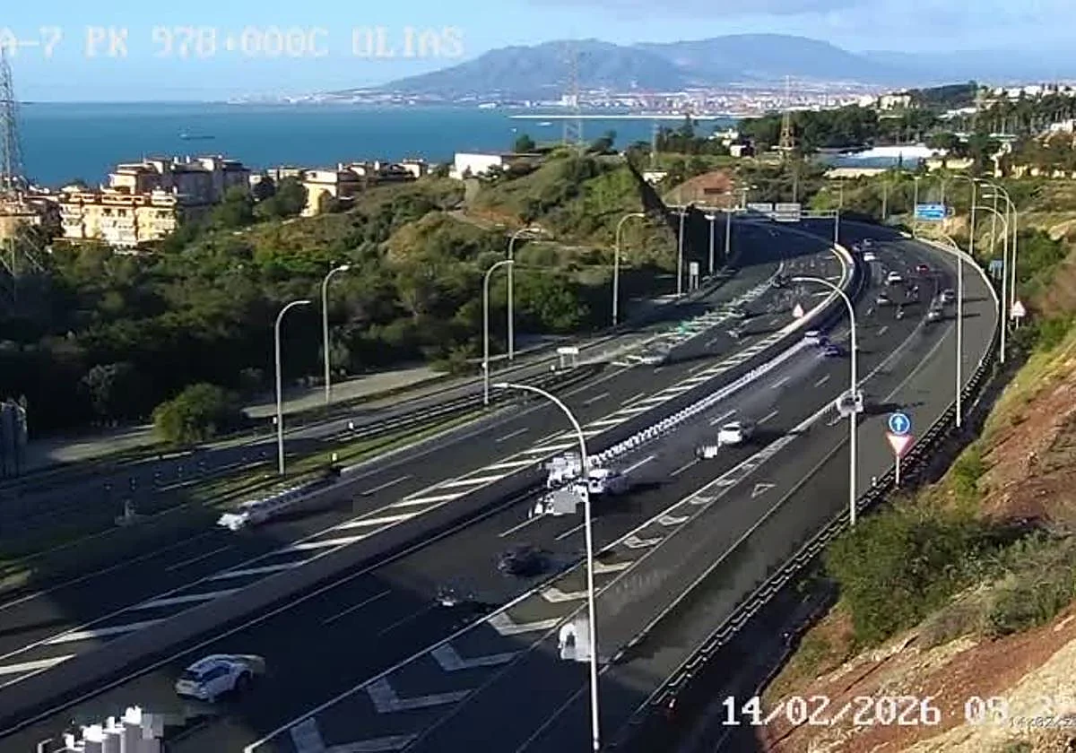 Susto en la A-7 a la altura de El Palo: un vehículo atropella a dos jabalíes de madrugada