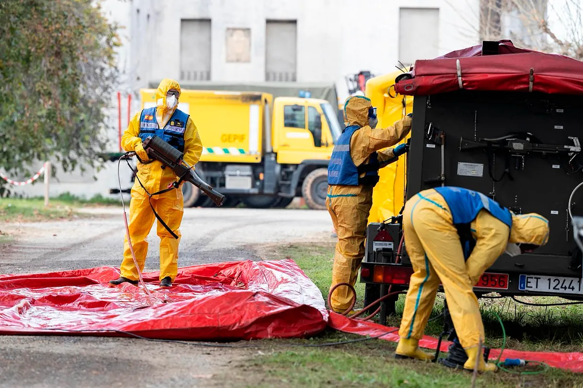 La 'zona cero' de la peste porcina africana en Barcelona vuelve a crecer tras nuevos positivos