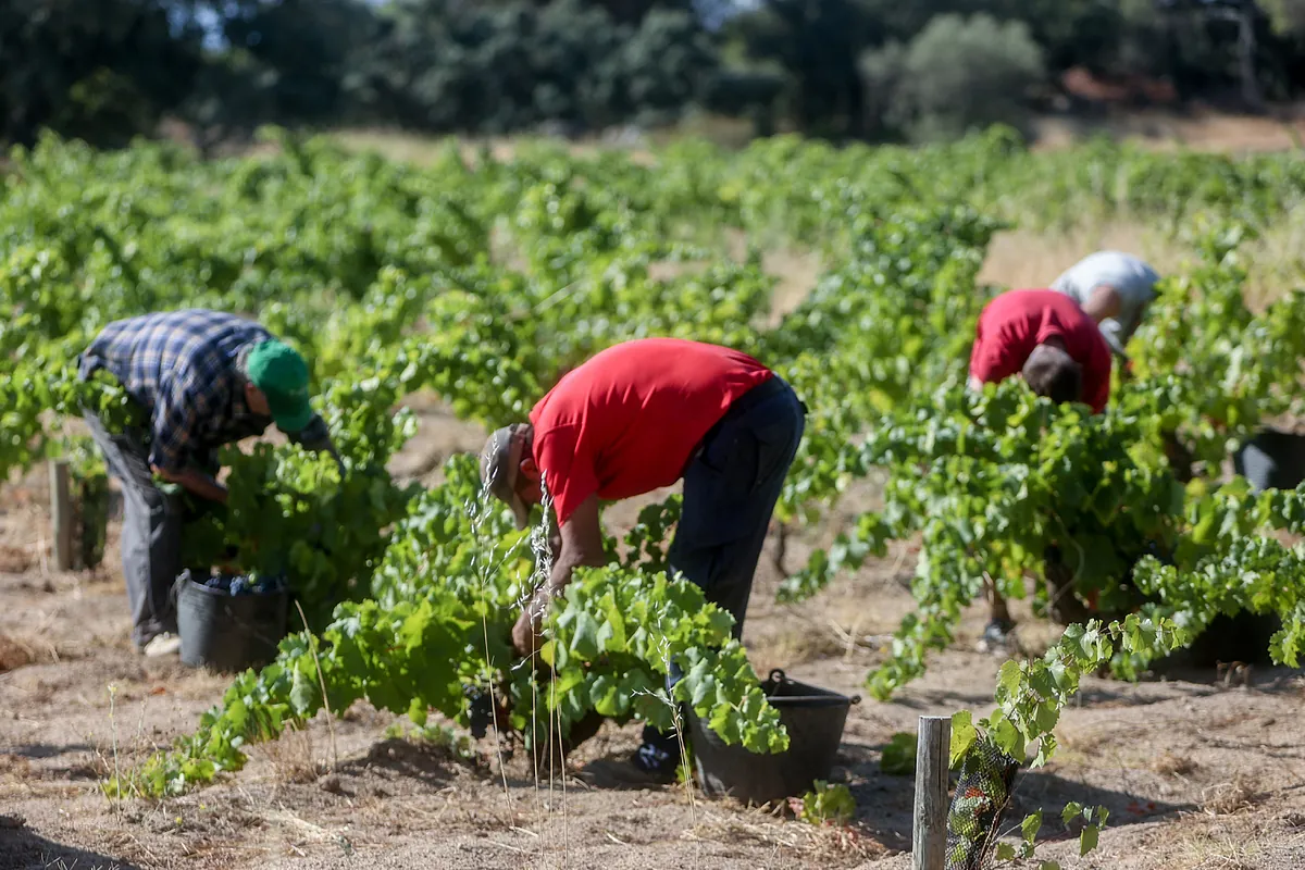 El nuevo salario mínimo supera ya el 60% del sueldo medio en 46 provincias