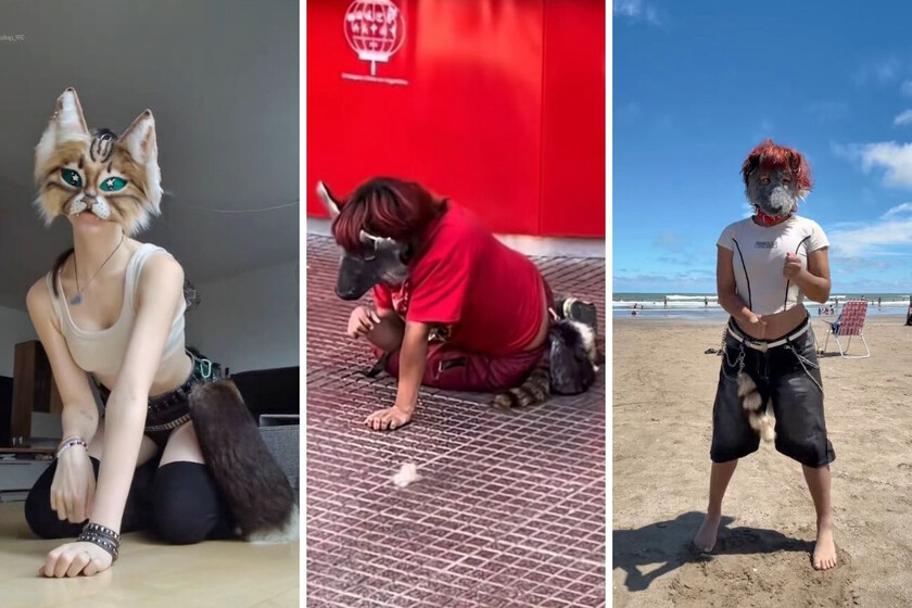 Los furros ya eran una subcultura peculiar: ahora llegan los "therians", gente que camina a cuatro patas