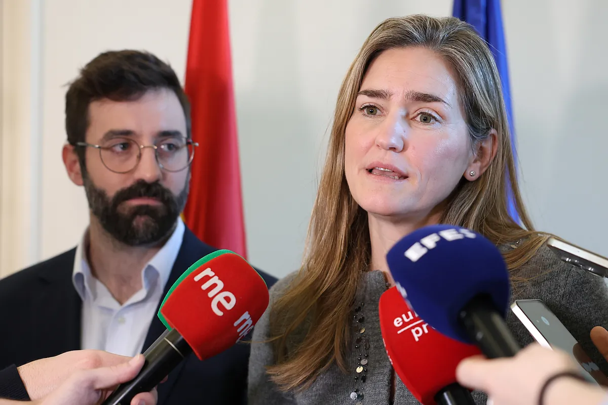 El Gobierno podrá topes de renta para concecer el bono social eléctrico a las familias numerosas