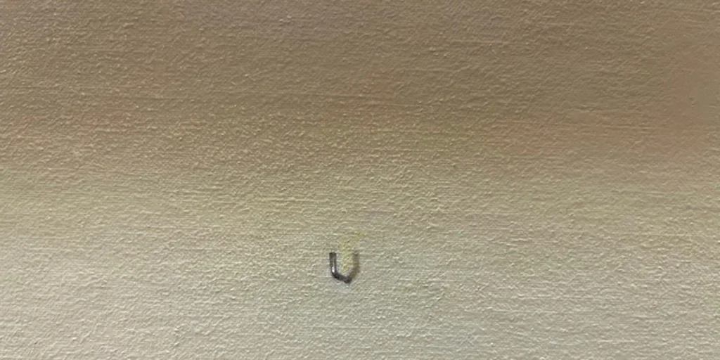 La profunda levedad de Martí Cormand