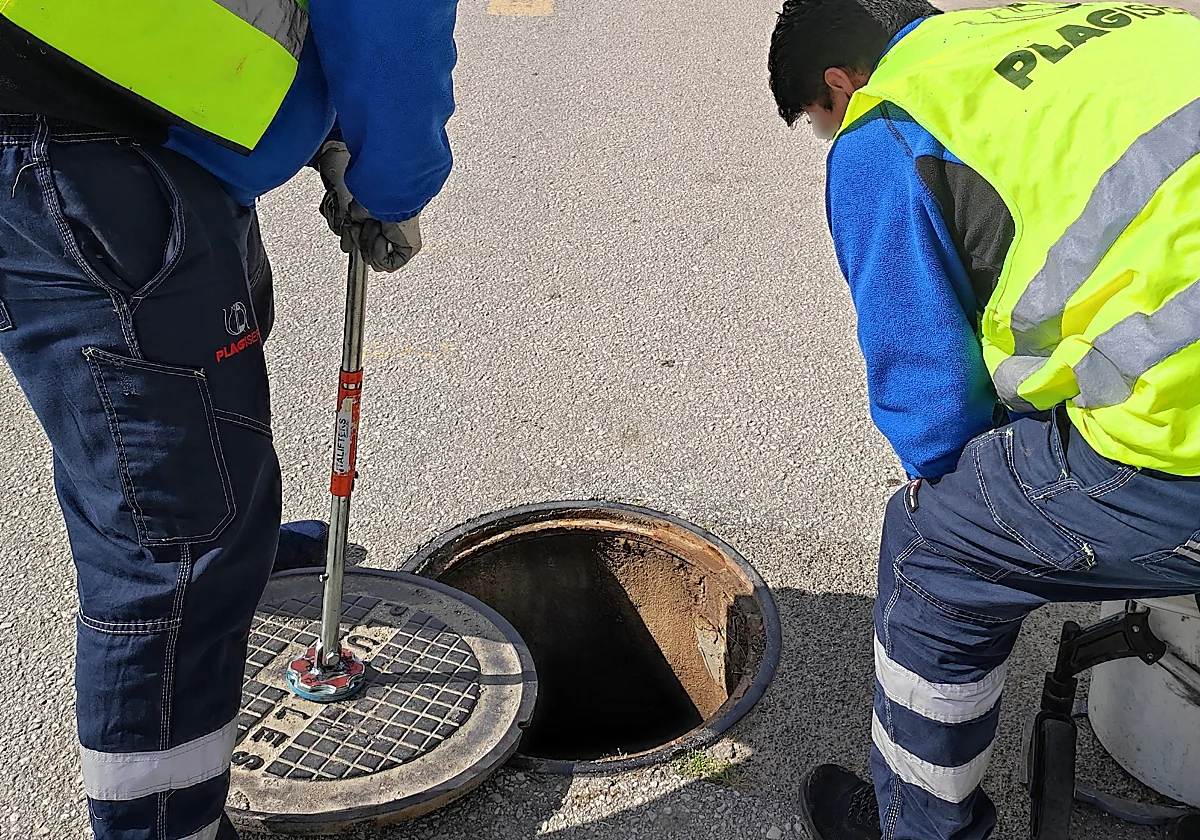 Cártama intensifica el control de plagas tras las últimas lluvias