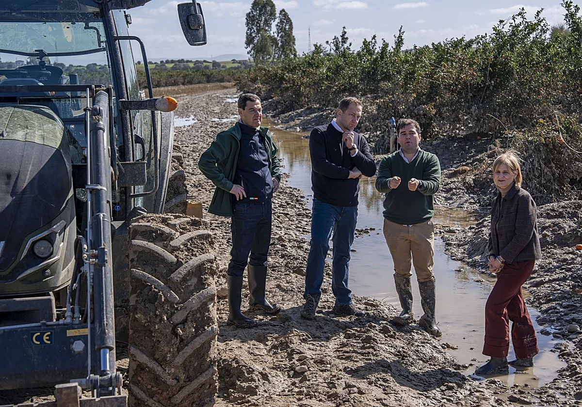 Las borrascas han destruido casi el 20% de la capacidad de producción del campo andaluz