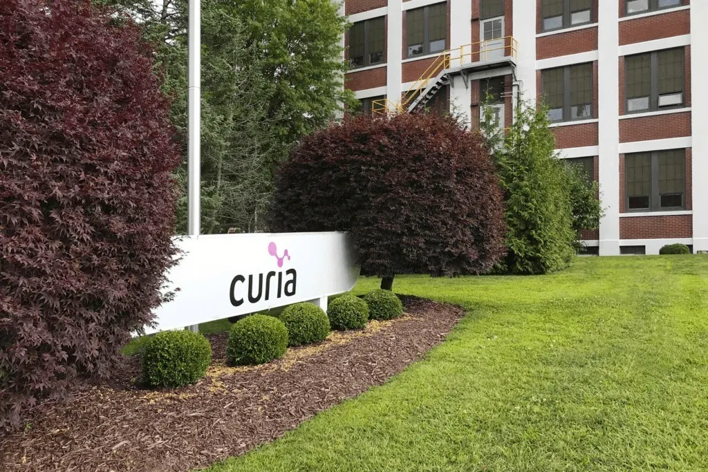 Carlyle y GTCR ponen en venta el negocio español del gigante farmacéutico Curia