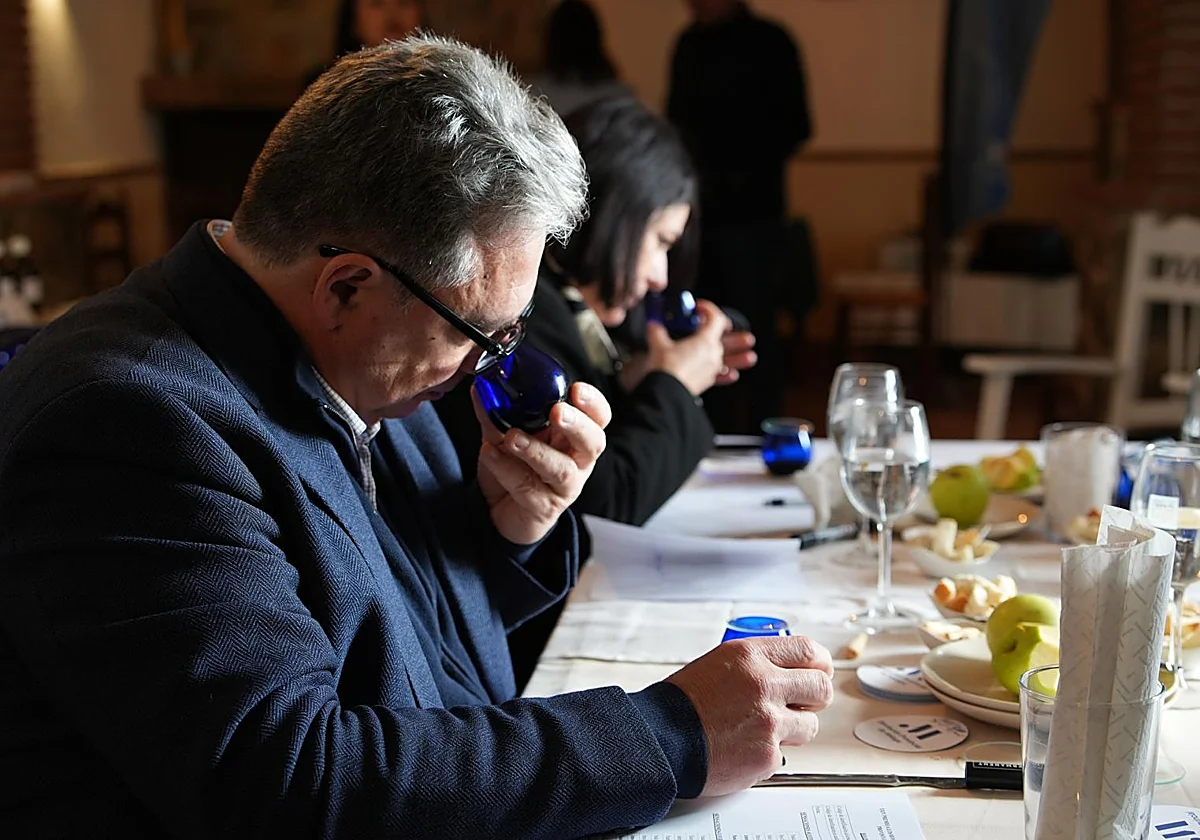 Estos son los mejores aceites de oliva virgen extra de Málaga 2025-206