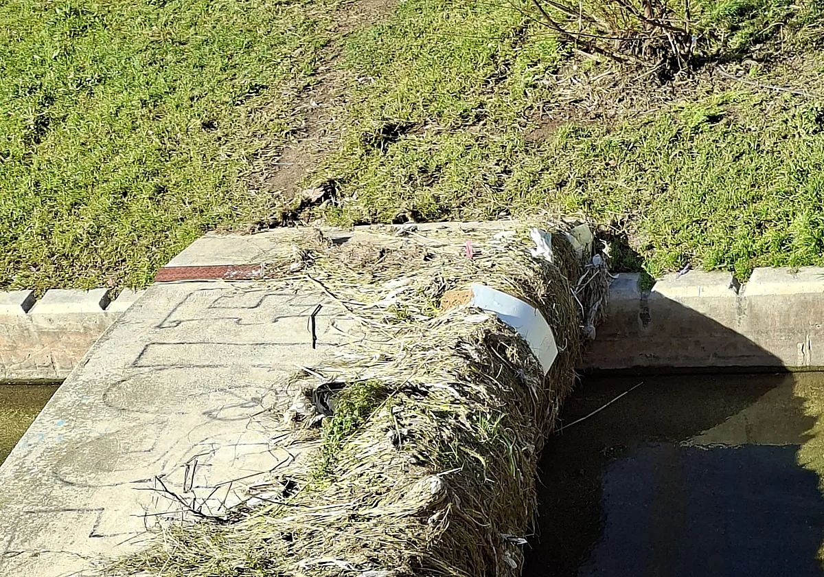 El Guadalmedina, limpio a medias desde hace unas semanas