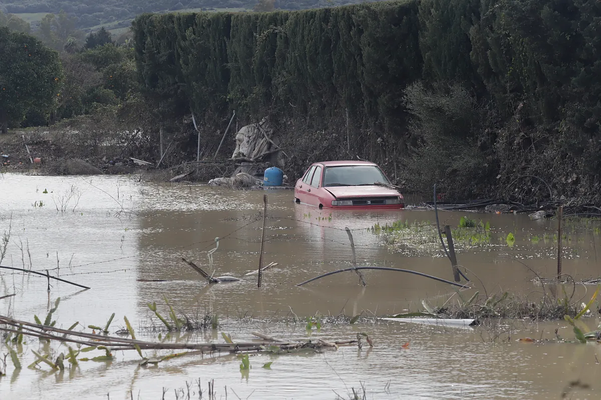 El 'diluvio' aviva la preocupación por el aumento de los precios de los alimentos en Europa