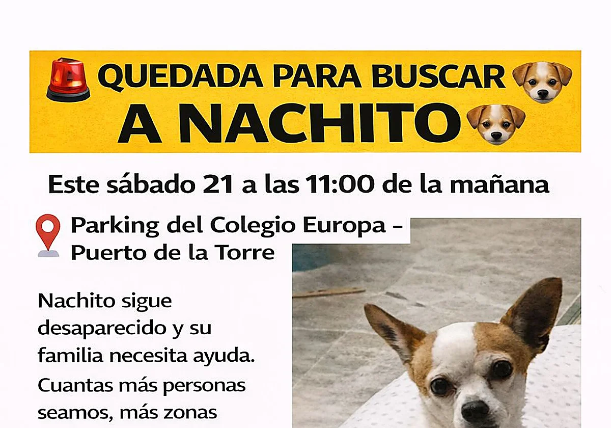 Malaga city neighbourhood mobilises search for Nachito, a 16-year-old dog missing since Monday