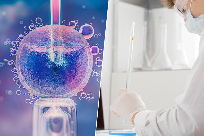 Ya no basta con congelar óvulos y esperar: la IA entra en las clínicas para decirte su potencial real