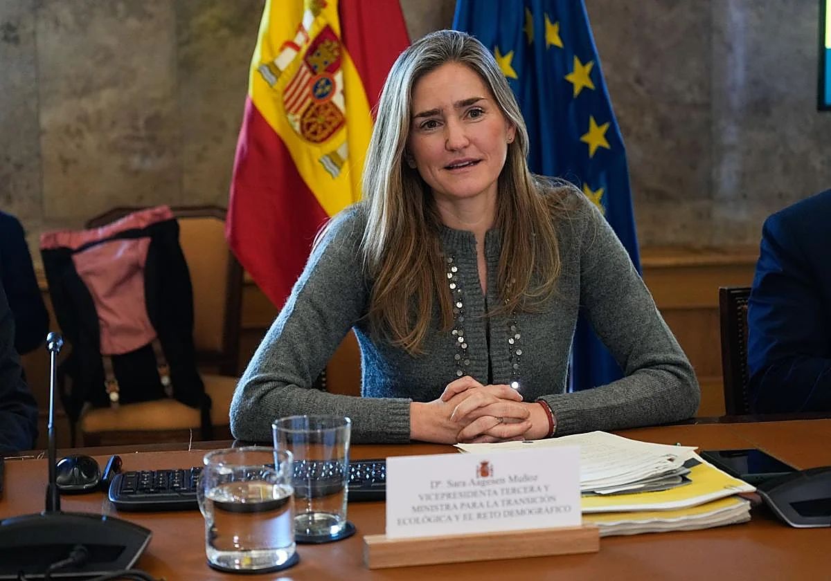 El Gobierno prepara una norma para liberar la capacidad de las redes eléctricas