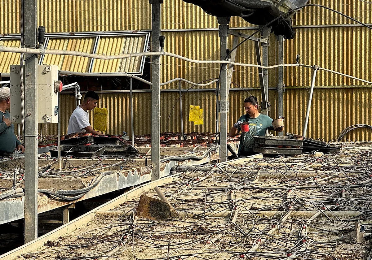Malaga floods: ground zero residents try to recover four weeks after storm Leonardo