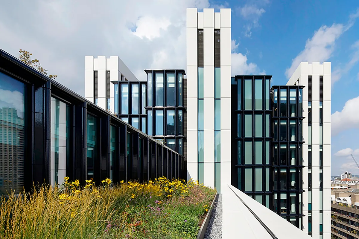 Los gestores de patrimonio europeos reaccionan ante el temor de que la IA los deje obsoletos