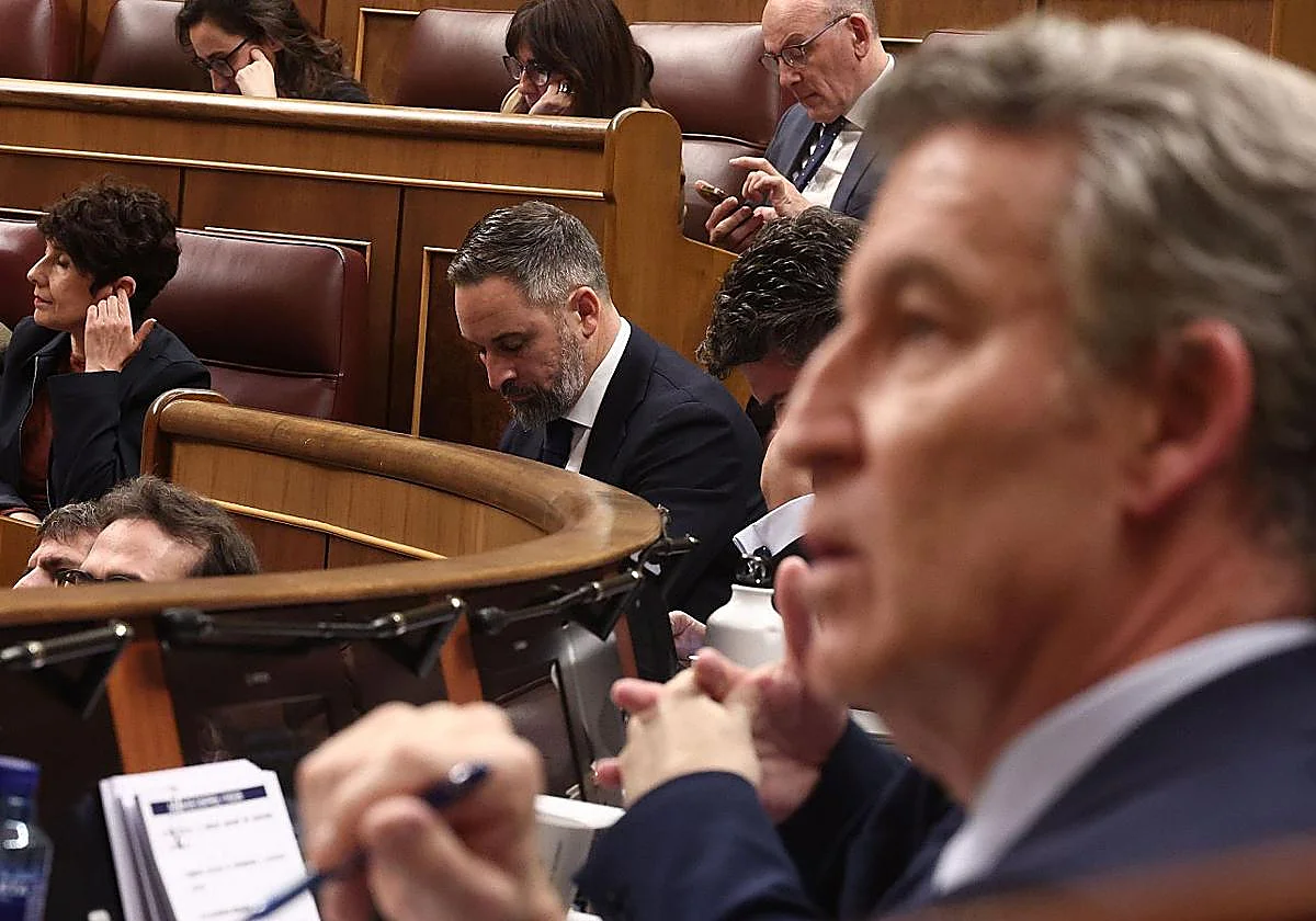 Hacerse un Schwarzenegger