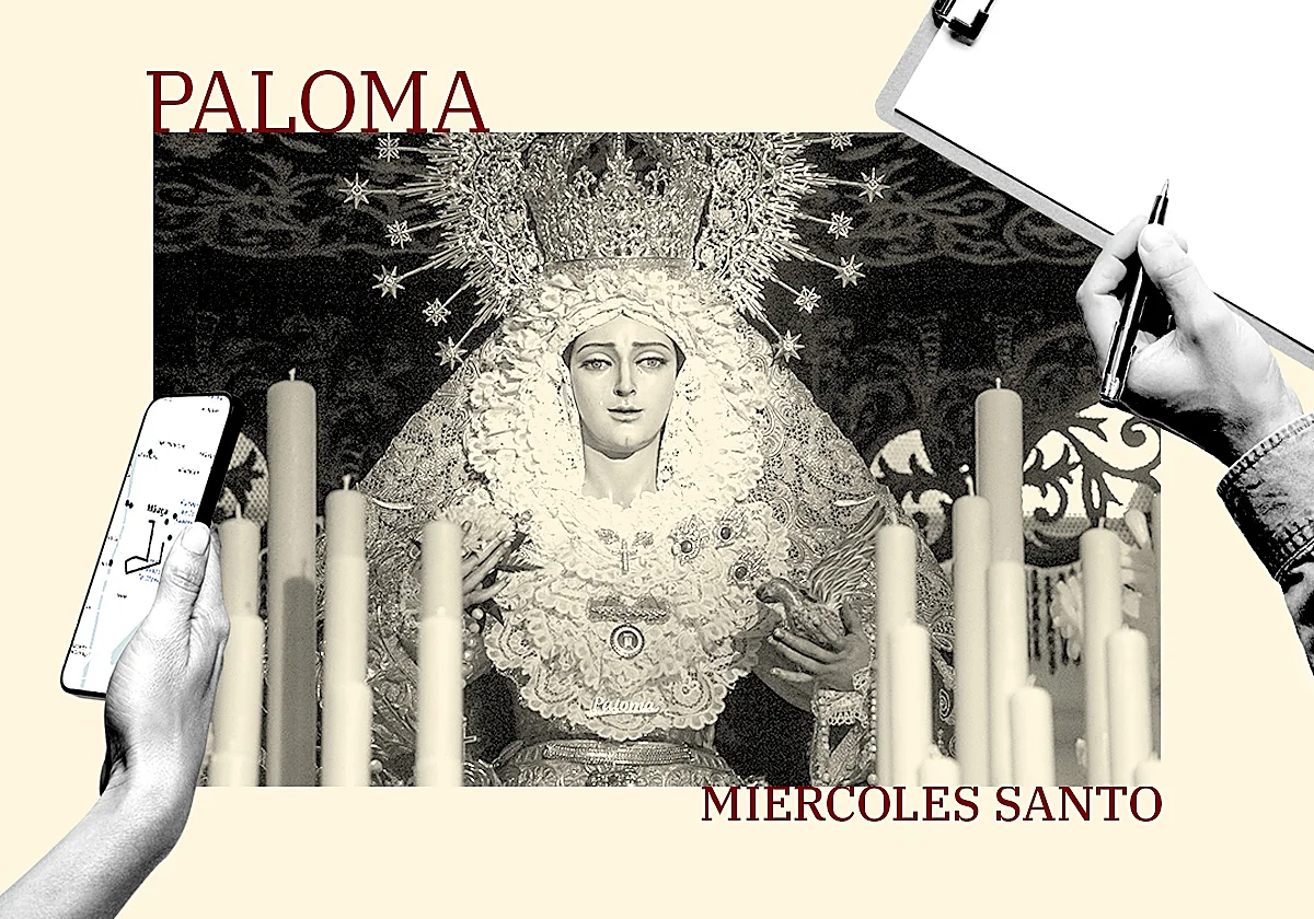 Paloma: novedades y proyectos de la cofradía