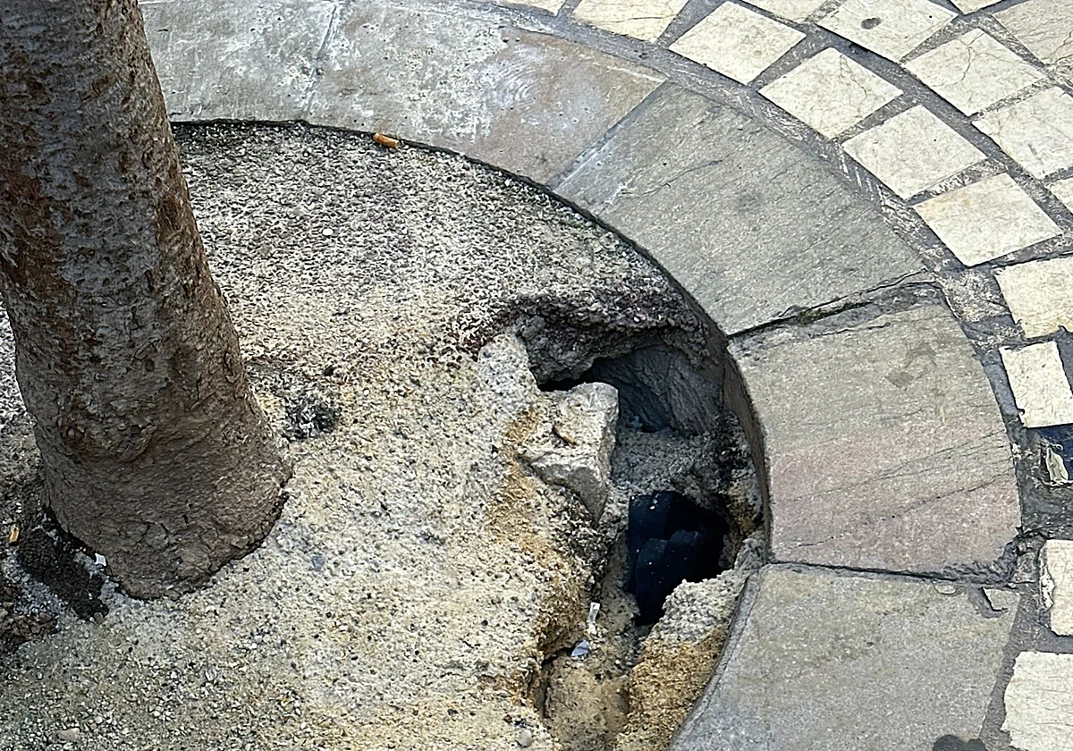 Calle Bolsa, un lugar para mirar al suelo si no quieres caerte