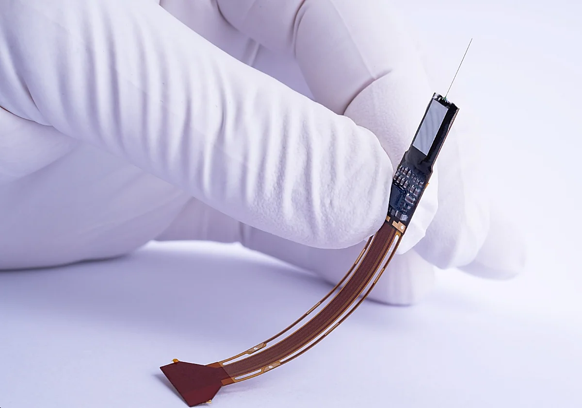 Malaga's future IMEC hub will develop platinum chips for DNA sequencing and brain 'neuropixels'