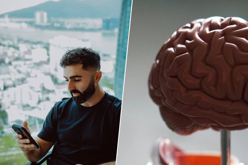 El doomscrolling te está encogiendo el cerebro literalmente: el precio de estar todo el día en TikTok o Instagram