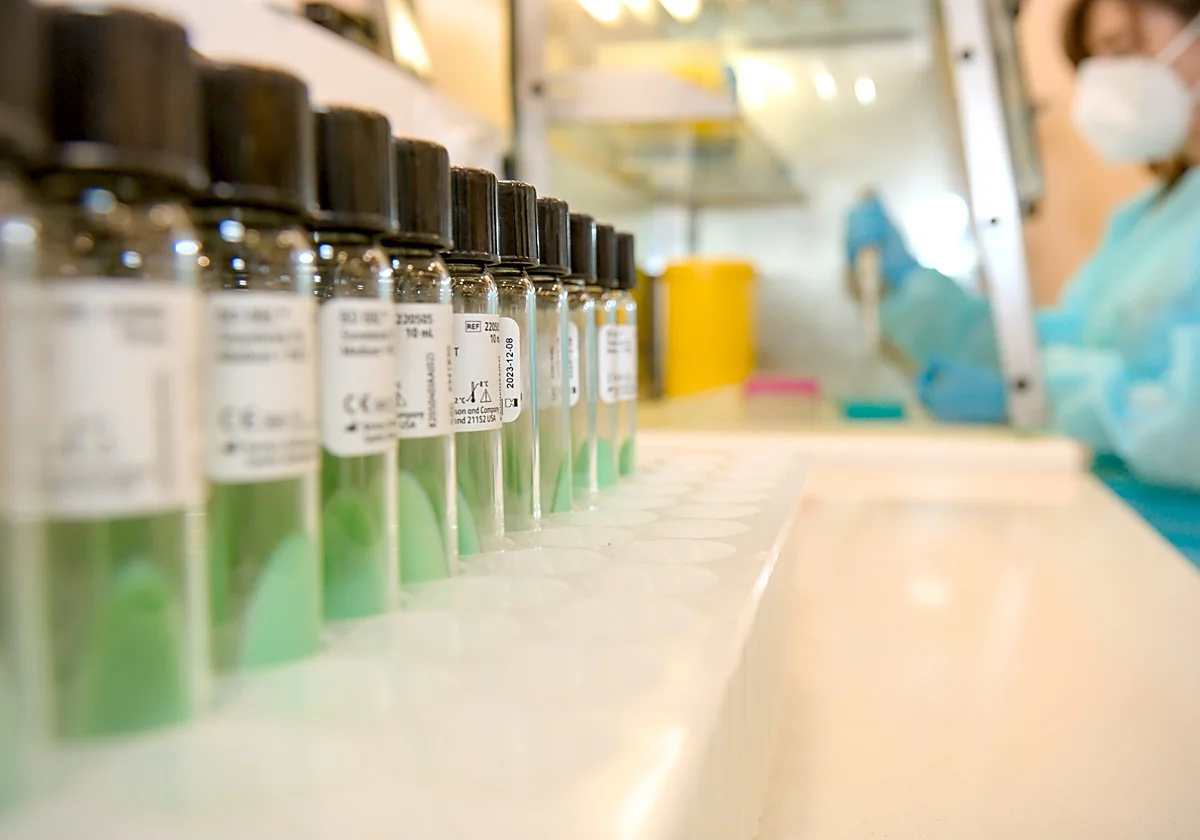 Malaga paediatricians urge parents to complete two-dose vaccination cycle