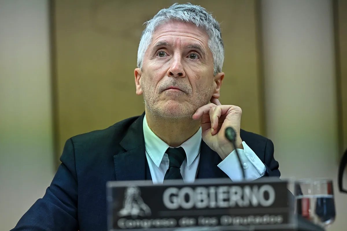 Baliza V16: Marlaska aclara en qué casos es sancionable y cuántas multas se impondrán