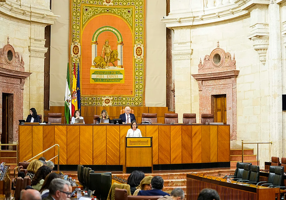 La Junta apura su agenda legislativa con la aprobación de dos leyes ambientales